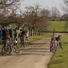 Atelier - taille d'arbres fruitiers