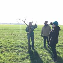 Atelier - taille d'arbres fruitiers