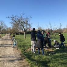 Atelier - taille d'arbres fruitiers