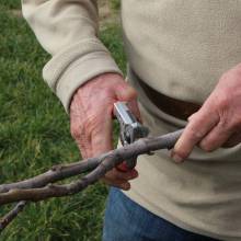 Formation des agents des services espaces verts