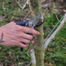 Formation des agents des services espaces verts