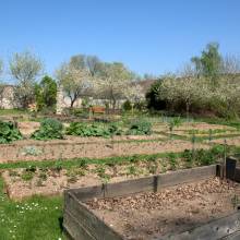 Jardin potager aux Granges de Port-Royal