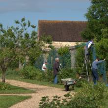 Travaux de printemps au verger des Granges de Port-Royal