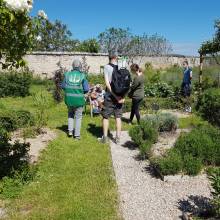 Rendez-vous aux jardins avec Les amis du dehors