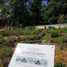 Rendez-vous aux jardins avec Les amis du dehors