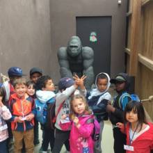 Structure de Jammes partie à la découverte du Zoo de Thoiry