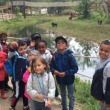 Structure de Jammes partie à la découverte du Zoo de Thoiry