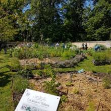 Rendez-vous aux jardins avec Les amis du dehors