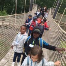 Structure de Jammes partie à la découverte du Zoo de Thoiry