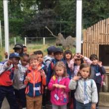 Structure de Jammes partie à la découverte du Zoo de Thoiry