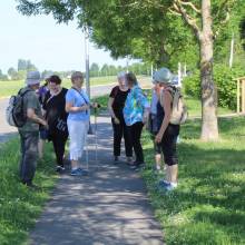 Marcher, c'est le pied !