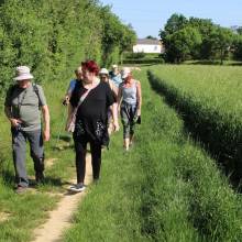 Marcher, c'est le pied !