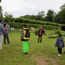 Un arbre, c'est quoi ?