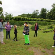 Un arbre, c'est quoi ?