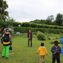 Un arbre, c'est quoi ?