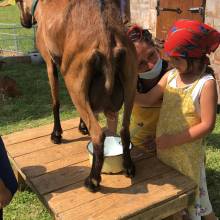 Les vacances à l'accueil de loisirs pour les maternelles