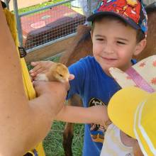 Les vacances à l'accueil de loisirs pour les maternelles