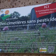 Passage du  jury départemental des trophées yvelinois 2021 sur la thématique des cimetières naturels 