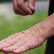 Promenade comestible