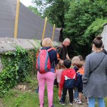 Promenade comestible