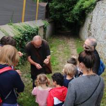 Promenade comestible