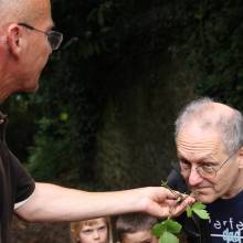 Promenade comestible