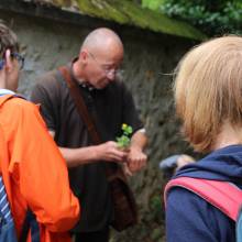 Promenade comestible