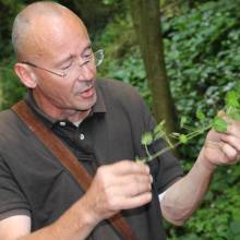 Promenade comestible