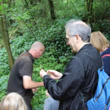 Promenade comestible