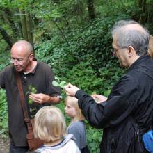 Promenade comestible