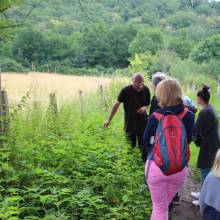 Promenade comestible