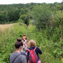 Promenade comestible