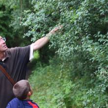 Promenade comestible