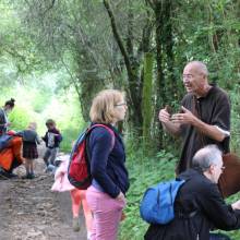 Promenade comestible