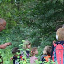 Promenade comestible
