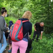 Promenade comestible