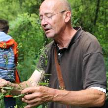 Promenade comestible