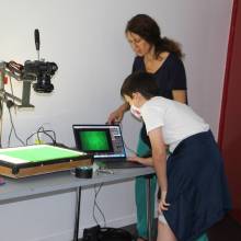 Stage cinéma d'animation "Stop motion"