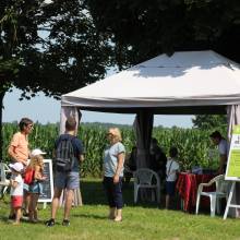 Perdez-vous dans le labyrinthe géant de maïs