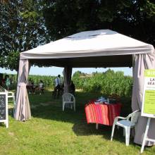 Perdez-vous dans le labyrinthe géant de maïs