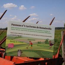 Perdez-vous dans le labyrinthe géant de maïs