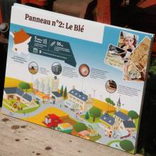 Perdez-vous dans le labyrinthe géant de maïs