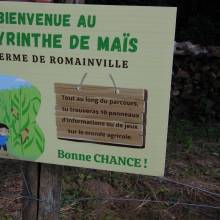 Perdez-vous dans le labyrinthe géant de maïs