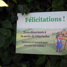 Perdez-vous dans le labyrinthe géant de maïs