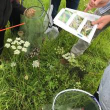 Découverte de la faune caractéristique des prairies et fabrication d'un filet fauchoir