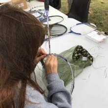 Découverte de la faune caractéristique des prairies et fabrication d'un filet fauchoir