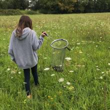 Découverte de la faune caractéristique des prairies et fabrication d'un filet fauchoir