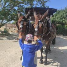visite domaine de Dampierre