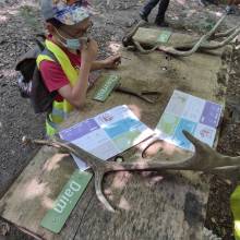 Les accueils de loisirs sont de sortie !