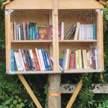 Boite à Livres 2 chemin des Rhodon Gomberville